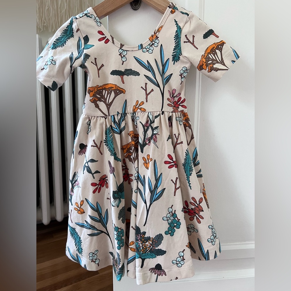 Alice and Ames Short Sleeve Ballet Dress in Herbal Study